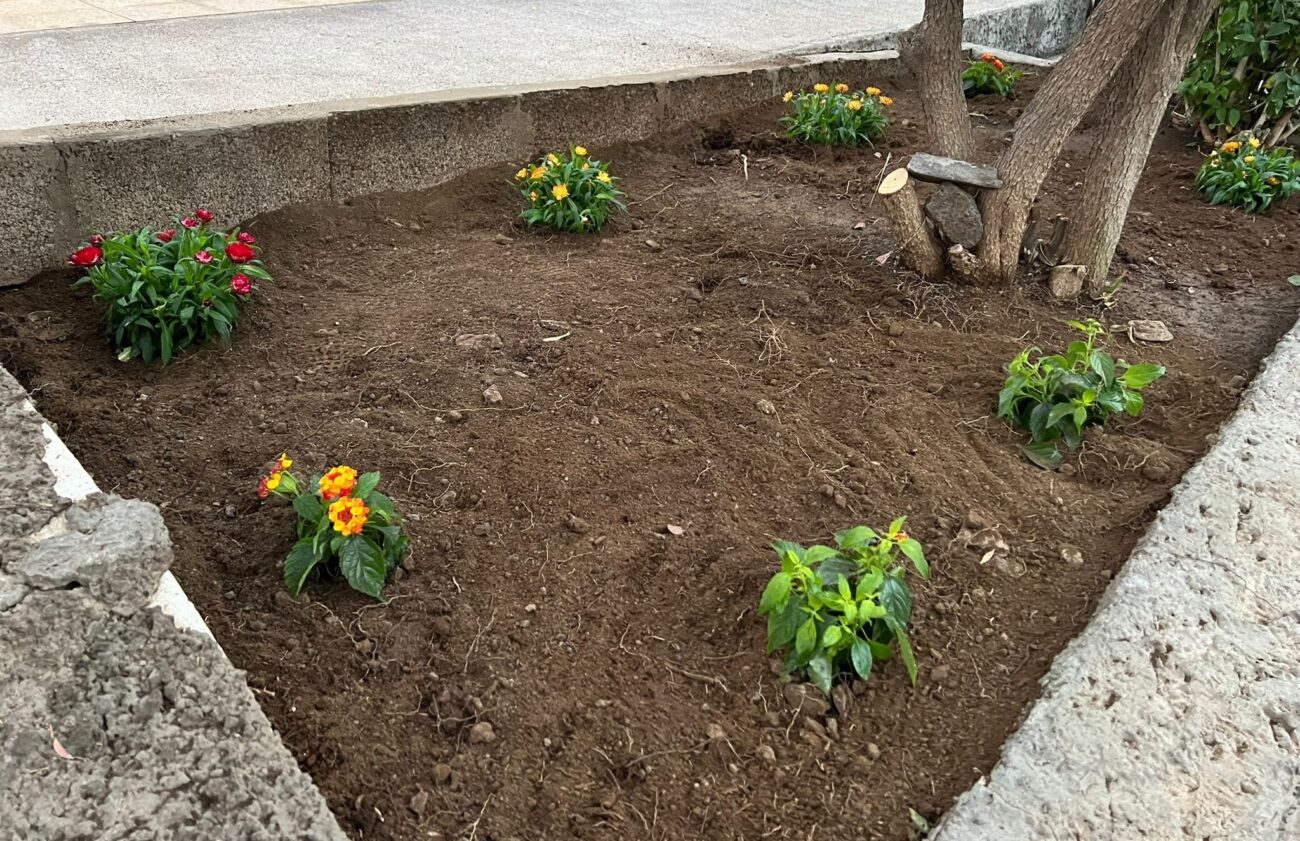 Esquelas.es | La Aldea de San Nicols amplia y mejora las zonas ajardinadas del Cementerio de Tasarte