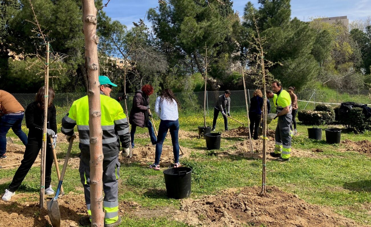Esquelas.es | Parcesa contribuye por cuarto ao consecutivo a la reforestacin del municipio de Alcobendas