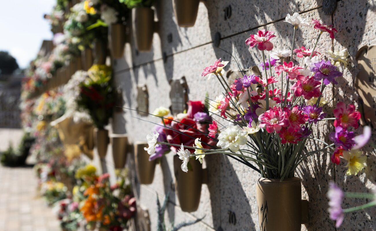 Esquelas.es | El Parque Cementerio de La Paz de Alcobendas pondr un servicio de microbuses gratuitos el 1 de noviembre