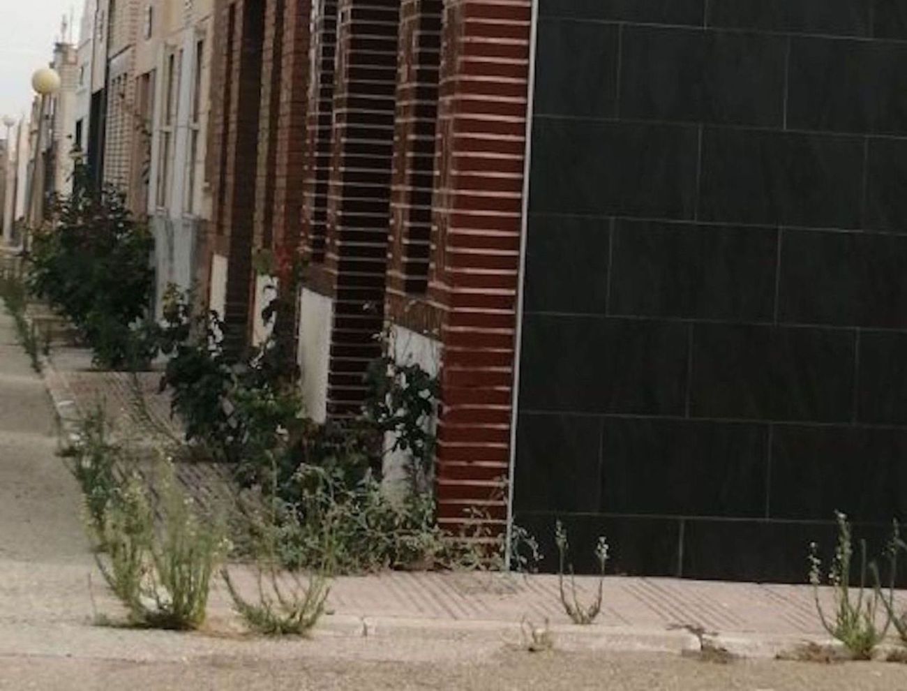 Esquelas.es | PP denuncia el abandono del cementerio municipal de Las Torres de Cotillas