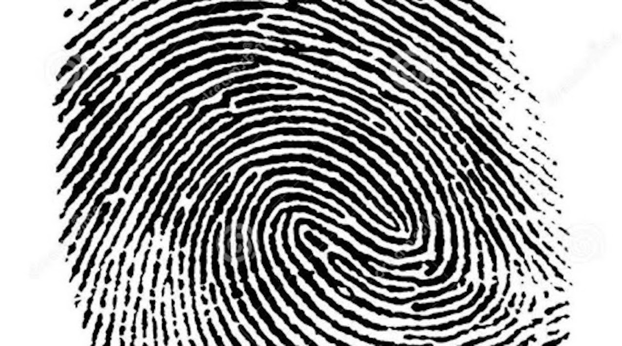 Esquelas.es | [VDEO]La Dactiloscopa, un sistema de identificacin de personas mediante su huella digital