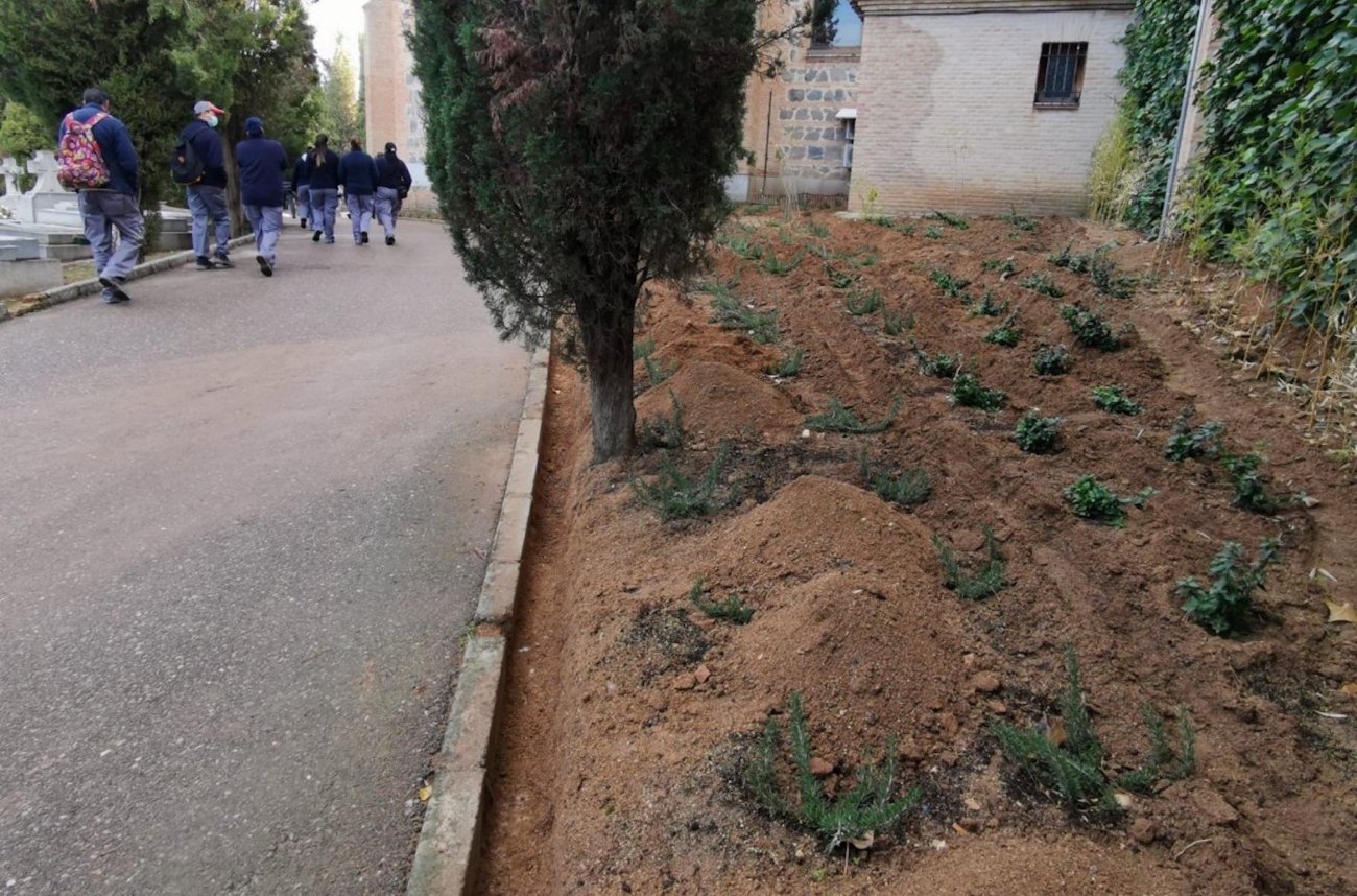Esquelas.es | El Ayuntamiento de Toledo renuevan los jardines de acceso al cementerio municipal