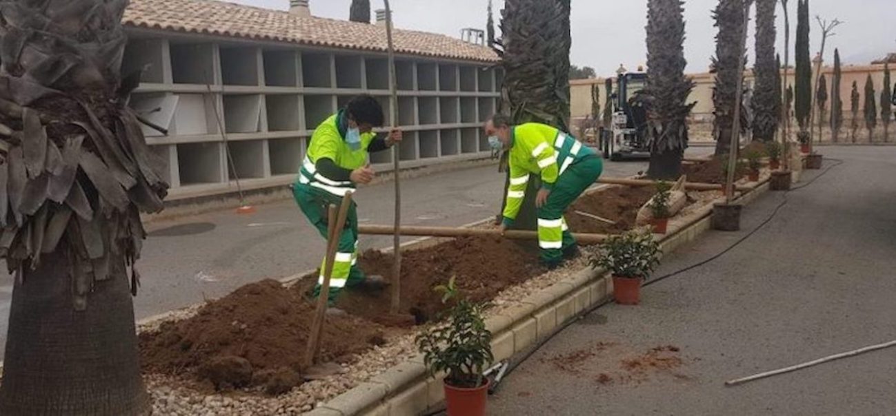 Esquelas.es | Plantan nueva vegetacin para sombra y ornamental en el cementerio de Caudete
