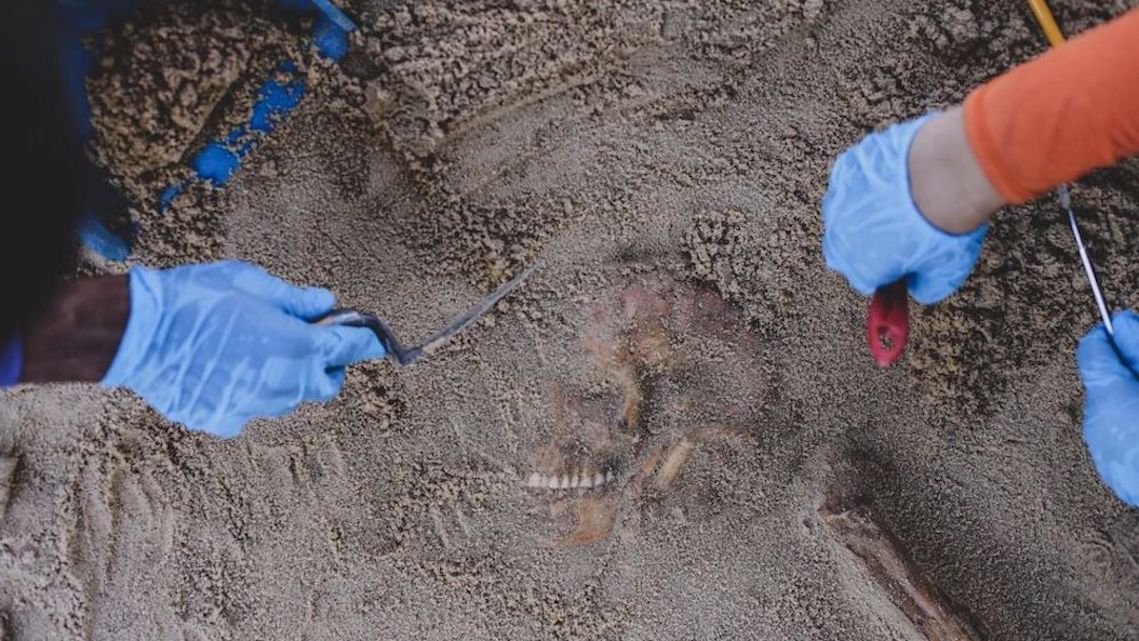 Esquelas.es | El hallazgo de un cementerio de siglo XVII desentierra la historia del Brasil colonial