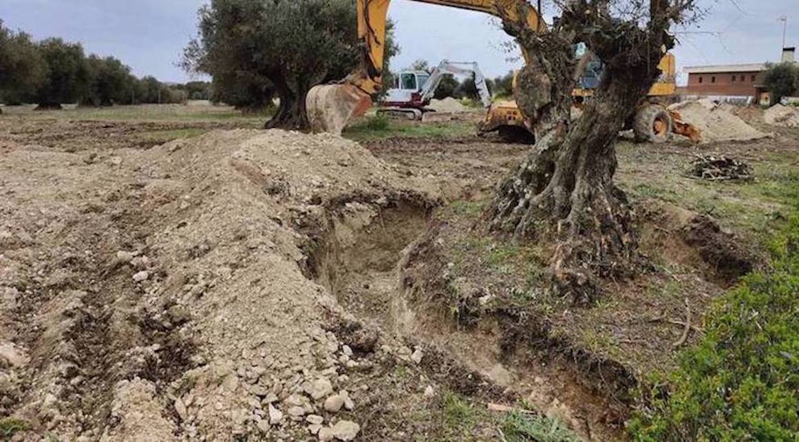 Esquelas.es | Vecinos de Valdemoro alarmados por el inicio de las obras de construccin del crematorio