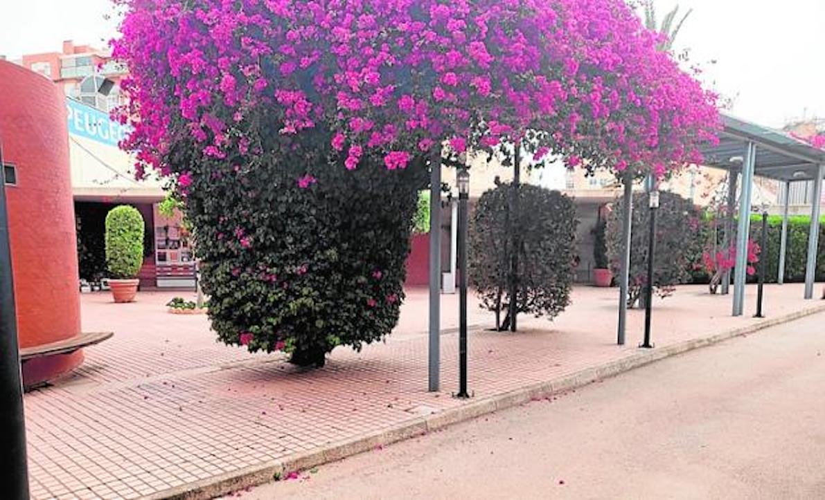 Esquelas.es | El Tanatorio Estavesa del Paseo Alfonso XIII estrena nuevo acceso por el jardn