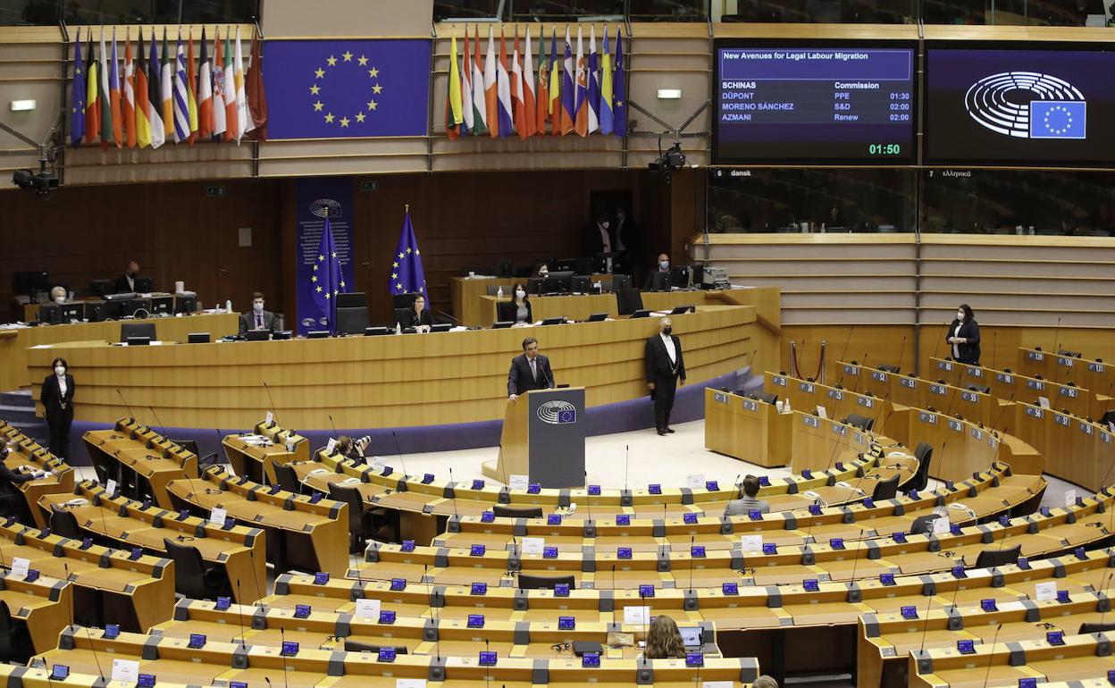 Esquelas.es | Izquierda Unida lleva el caso del crematorio de Valdemoro hasta la Eurocmara