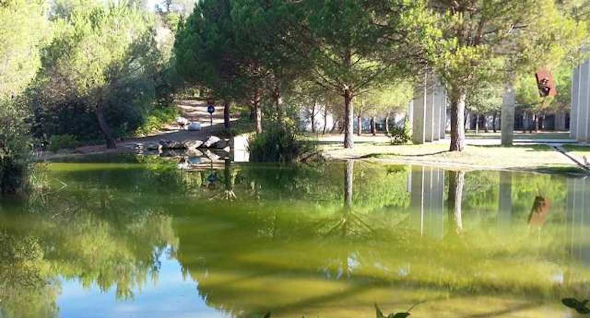 Esquelas.es | El Consistorio de Gerona prev habilitar una zona del Cementerio Nuevo para la comunidad islmica