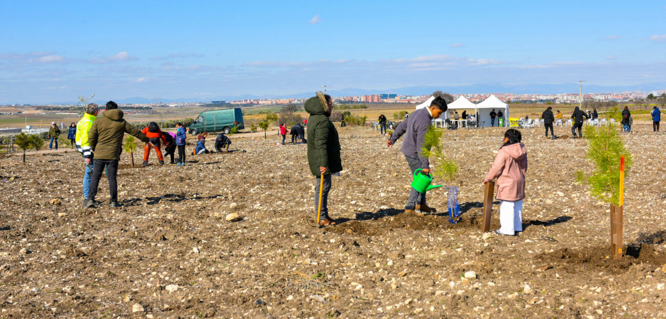 Esquelas.es | La iniciativa de reforestacin ?Bosque Albia? vuelve a Madrid con una nueva plantacin en Parla