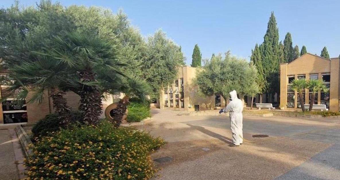 Esquelas.es | Actan en el cementerio de Alcira contra la mosca negra y el mosquito tigre tras detectar focos de larvas