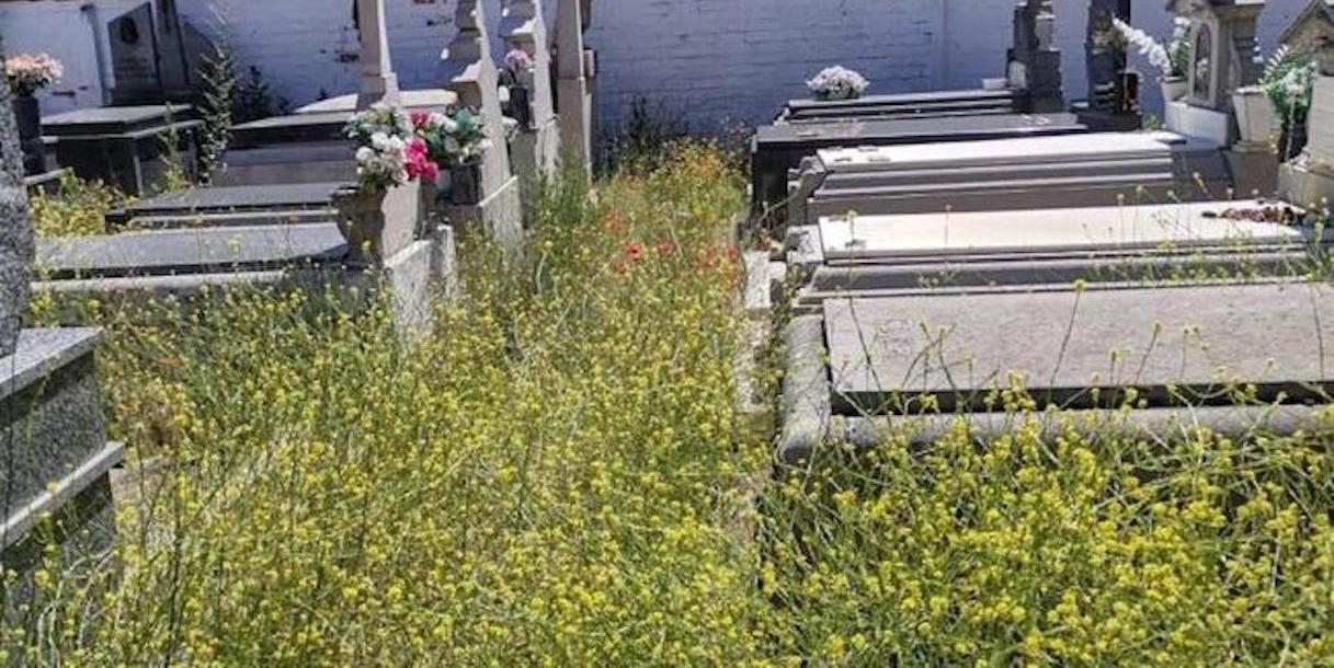 Esquelas.es | Exdiputado provincial asegura que se encerrar hoy mircoles en el cementerio de San Andrs