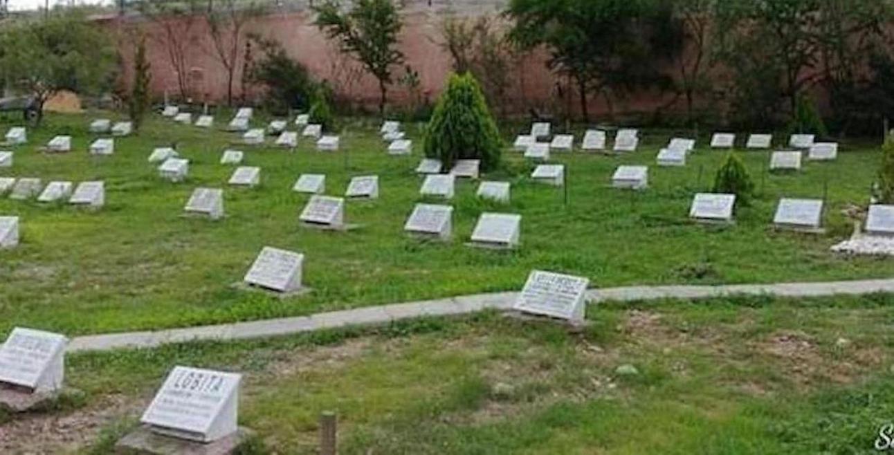 Esquelas.es | VOX Ceuta presentar en la Asamblea la construccin de un cementerio con crematorio para mascotas